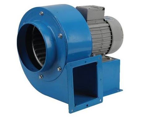 Fanlar