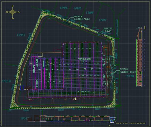Layout